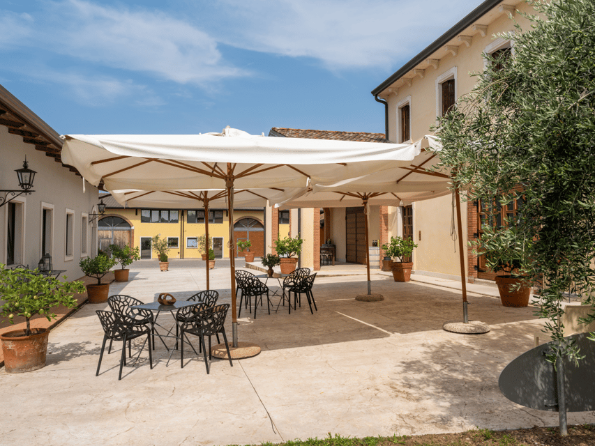 Olive Mill Tour and Tasting in the Verona Countryside - Bonamini family Oil Museum: then and now, explained simply