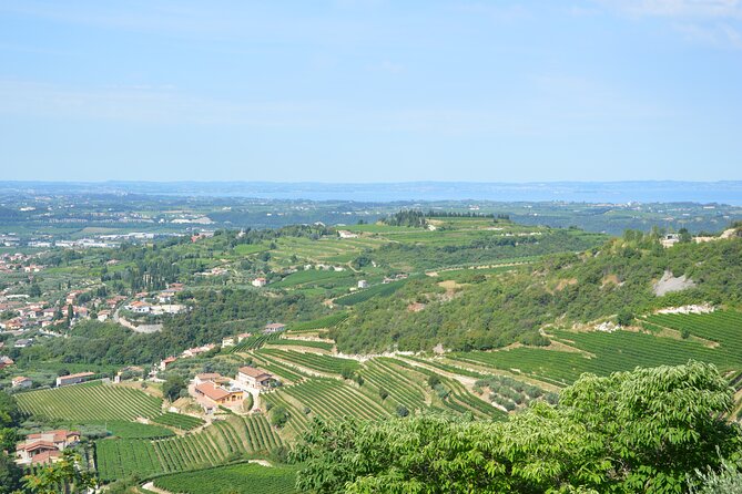 Pagus Wine Tours® - A taste of Amarone - Half day wine tour - Verona to Valpolicella Classica: the ride and the rhythm