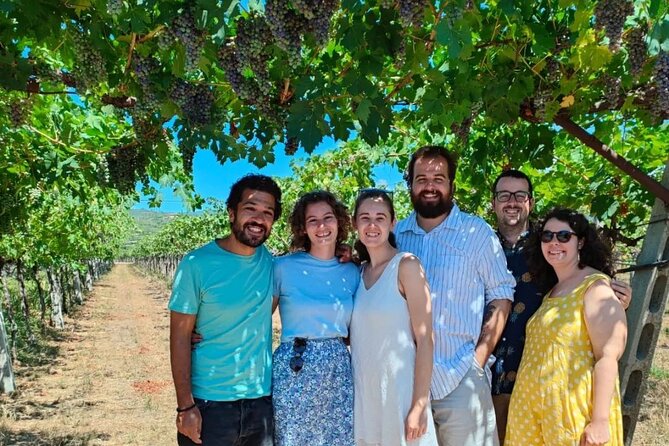 Pagus Wine Tours® - A taste of Amarone - Half day wine tour - What to expect at a glance (and what to plan around)