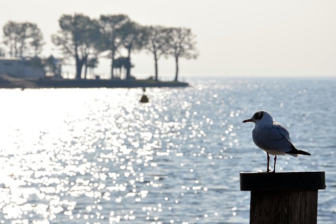 Pagus Wine Tours® - Sirmione by boat and Amarone - Full day tour - The Lake Garda motorboat ride around Sirmione and Grotte di Catullo