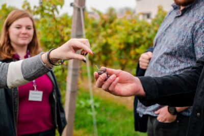 Pagus Wine Tours® - Sirmione by boat and Amarone - Full day tour - Stop 1 at Pagus Wine Tours in Verona (Via della Valverde, 75)