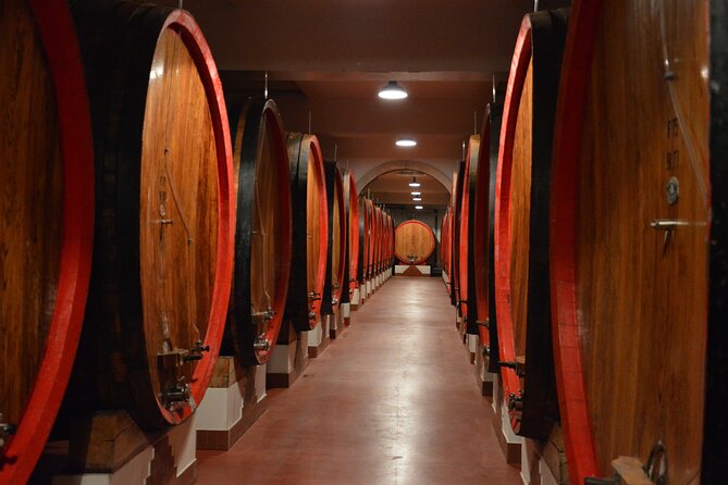 Pagus Wine Tours® - Soave and Amarone - Half day wine tour - Stop in Soave: Medieval Walls, a Castle View, and Vineyard Context