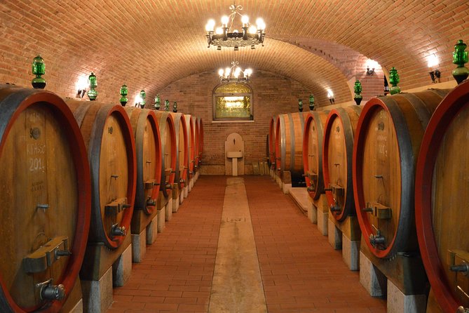 Pagus Wine Tours® - Two Amarone wineries - Half day wine tour - Stop 1: the store welcome and what it sets up