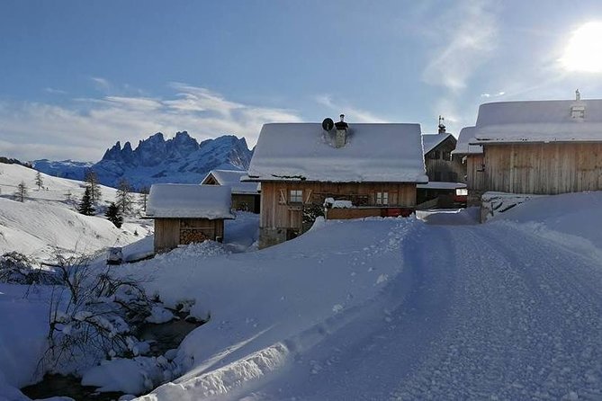 Private Dolomites Day Trip from Venice by Mercedes Class e Lux - Price and value: what $2,283.01 per group buys you