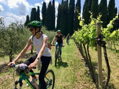 Salò: e-bike tour with wine tasting on Valtenesi Hills - Starting from a Salò winery: setting the tone before you pedal