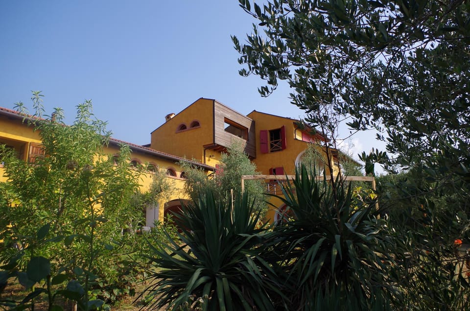 San Felice: Olive Oil Tasting with local food on Garda Hills - Key things to look forward to