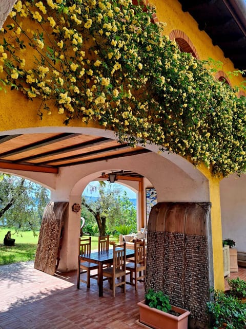 San Felice: Olive Oil Tasting with local food on Garda Hills - From Estate Roots to Olive Varieties: What You Learn Before You Taste