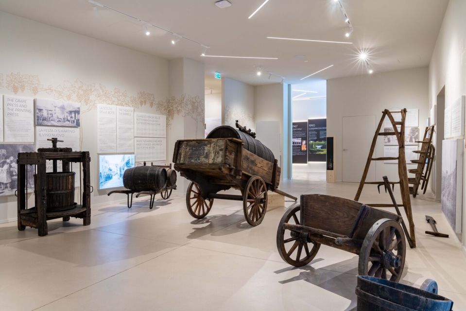 Secret journey between prosecco, lugana and white wines - The wine museum stop: history without the museum fatigue