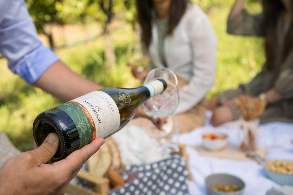 Taste with us Bardolino, Chiaretto and Lugana near Verona - Key takeaways