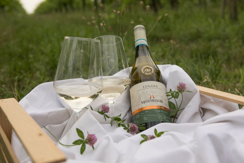 Taste with us Bardolino, Chiaretto and Lugana near Verona - Cantine Giacomo Montresor: Lake Garda Wines Close to Verona