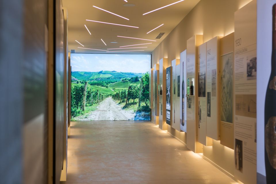 Taste with us Bardolino, Chiaretto and Lugana near Verona - Pairing Wine With Local Meats and Cheese (and Why It Works)