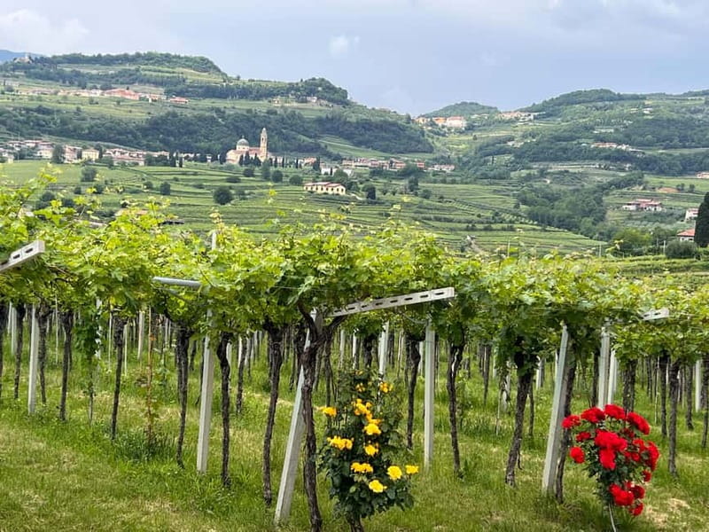 The grand tour of Amarone: 2 wineries with delicious lunch - Wine shipping: how to avoid hauling bottles home
