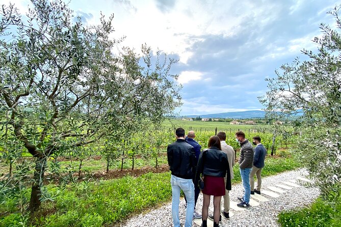 The Grand tour of Valpolicella: 2 Wineries, Lunch & Amarone focus - Small-group Valpolicella: who this fits best