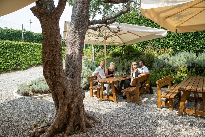 Tour and Tasting of Organic Wines in Lazise - Key highlights to look forward to