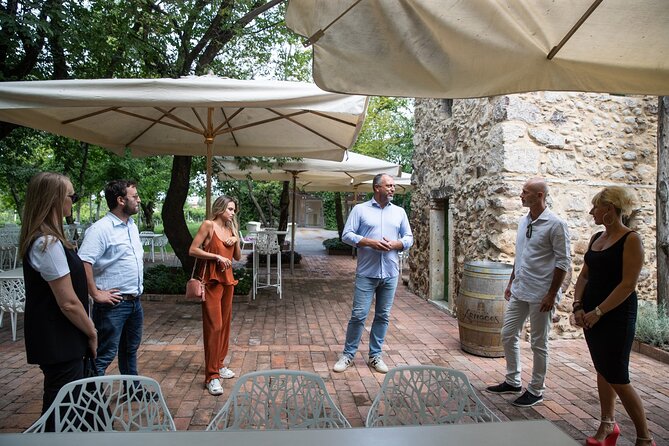 Tour and Tasting of Organic Wines in Lazise - Guides matter: Matteo, Linda, and Endes set the tone