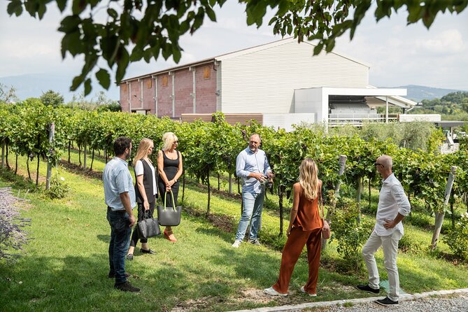 Tour and Tasting of Organic Wines in Lazise - How to decide if this tour fits your wine style