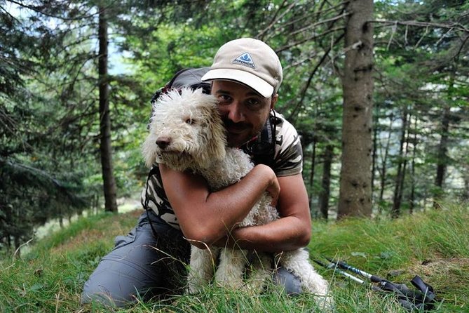 Truffle hunting and lunch experience in a restaurant - Truffle Hunting With Aika: The Morning’s Real Payoff