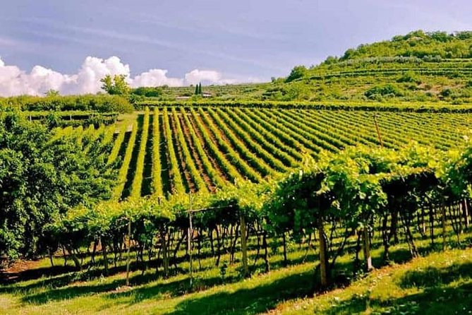 Valpolicella - The wine paradise - First taste: when the day starts at 9:30