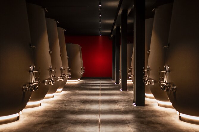 Valpolicella Wine Tasting Experience & Light Lunch - Key highlights to know before you go