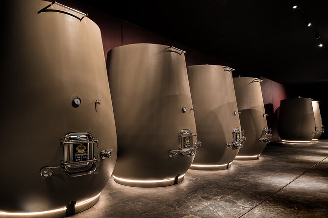 Valpolicella Wine Tasting Experience & Light Lunch - Price and value: what $66.08 buys you (and where it might not)