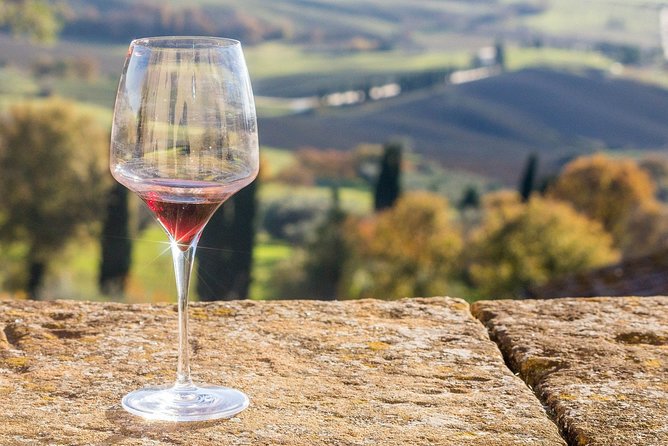 Verona area: Wine Tasting Experience in Valpolicella - Azienda Vinicola Farina: what you actually do during the winery tour