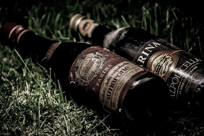 Verona area: Wine Tasting Experience in Valpolicella - Timing and group size: the 1.5-hour rhythm that works