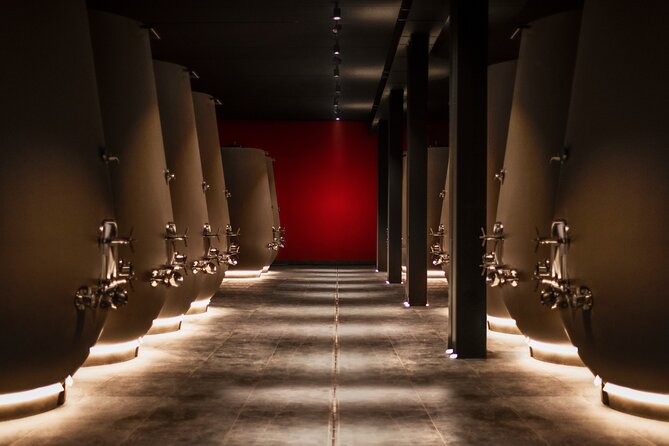 Verona area: Wine Tasting Experience in Valpolicella - Who should book this, and who might want to skip it?