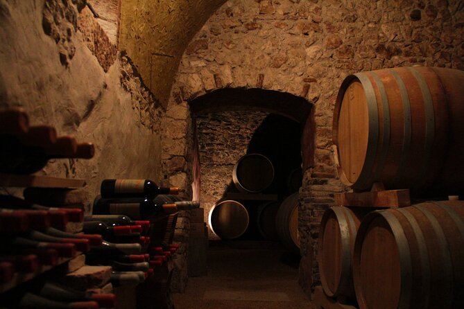 Verona - Cellar Tour and Tasting of NATURAL WINES - The cellar tour (including the 1760 historic space) and why it matters