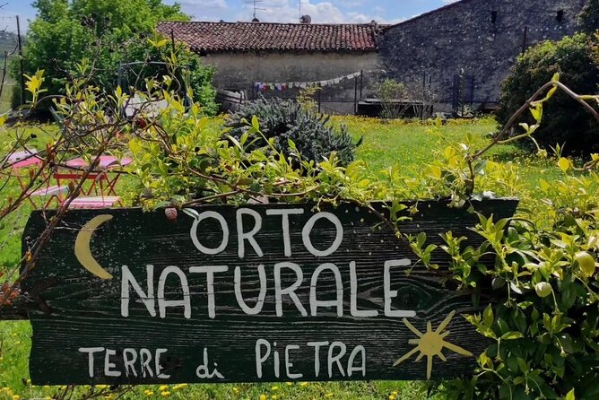 Verona - Cellar Tour and Tasting of NATURAL WINES - The tasting lineup: 5 natural wines plus their oil