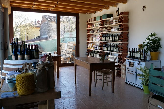 Verona - Cellar Tour and Tasting of NATURAL WINES - Group size, tour length, and pace: who this fits best