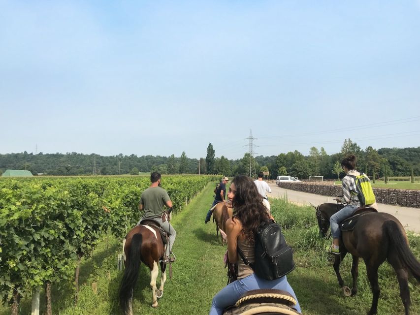 Verona: Horseback Riding and Wine Tasting Experience - Key Highlights Worth Zooming In On