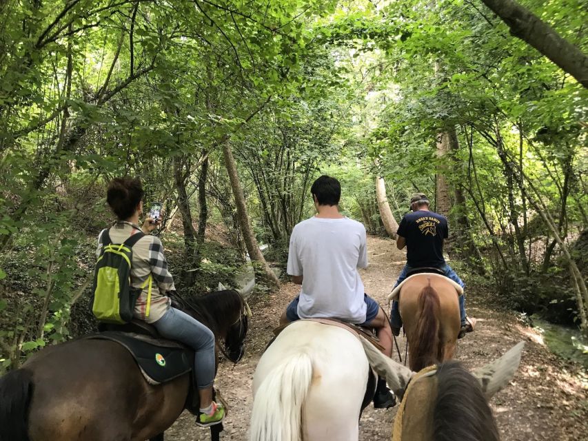 Verona: Horseback Riding and Wine Tasting Experience - Riding Through Vineyards Toward Custoza Hill