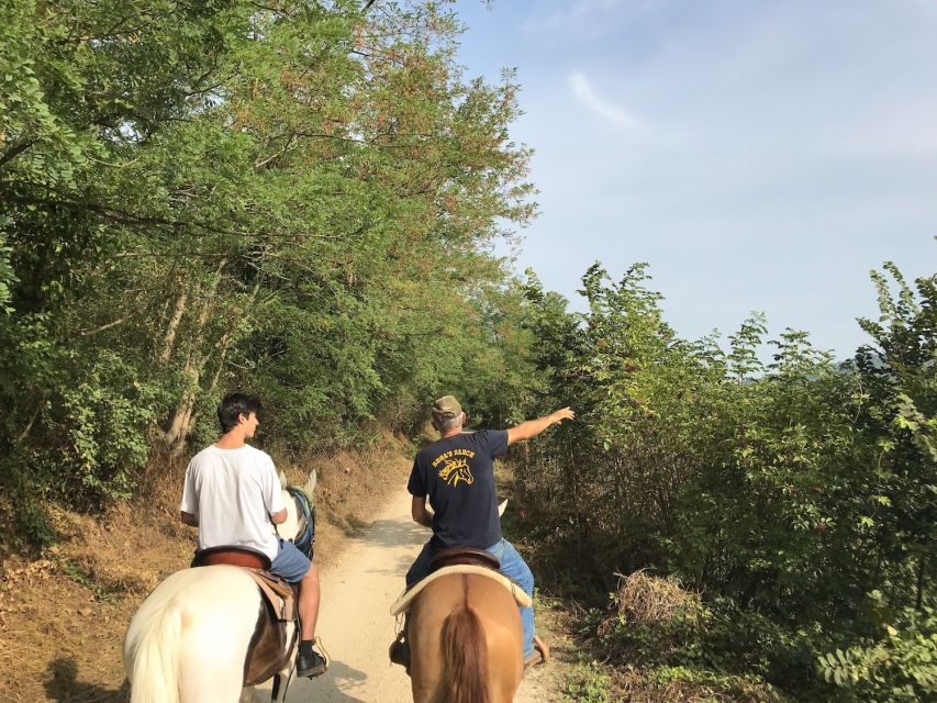 Verona: Horseback Riding and Wine Tasting Experience - Price and Value: Is $186.92 Worth It?
