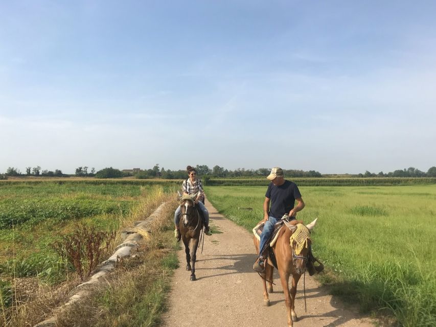 Verona: Horseback Riding and Wine Tasting Experience - Who Should Book This Verona Horseback and Wine Experience?