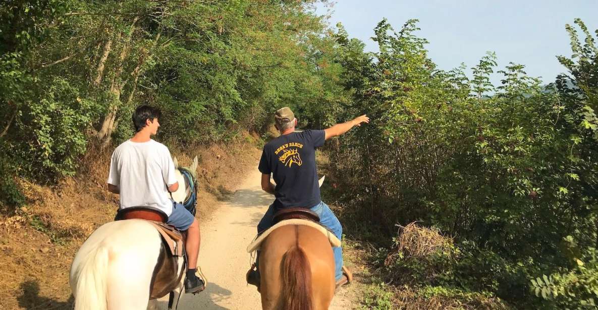 Verona: Horseback Riding and Wine Tasting Experience - Getting Matched With Your Horse (And Why It Matters)