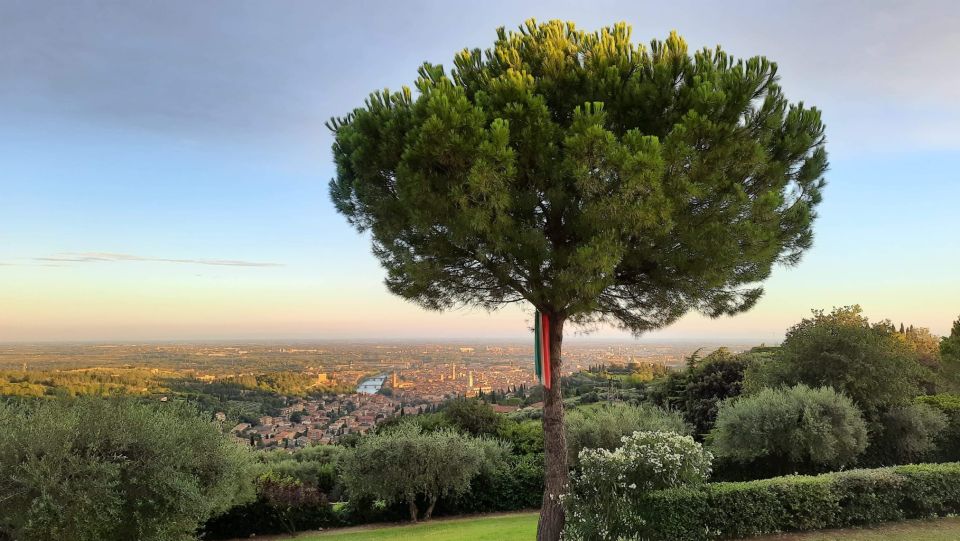 Verona: Wine Tasting with Snacks and Panoramic Views - Who This Tasting Is For (and Who Should Skip It)