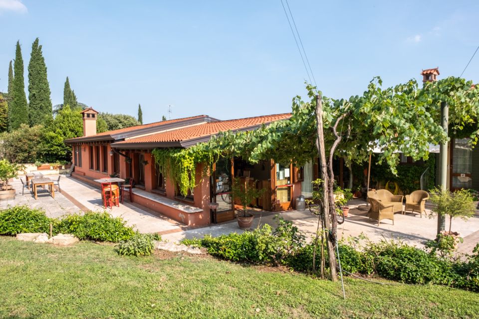 Verona: Wine Tasting with Snacks and Panoramic Views - Best Time to Go: Sunset Views Work Like Magic