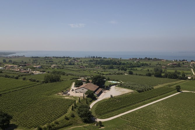 Visit and wine tasting at Tenuta La Cà - Key points to know before you go