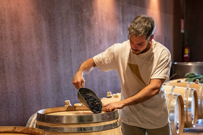 Visit and wine tasting at Tenuta La Cà - What makes this tour special (and what doesn’t)