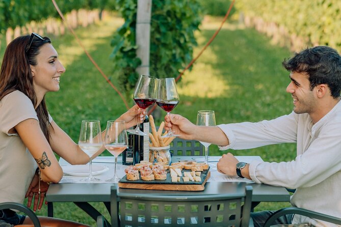 Wine and Food Tasting in the Vineyards in Lazise - Why This Lazise Vineyard Tasting Feels More Like a Local Evening