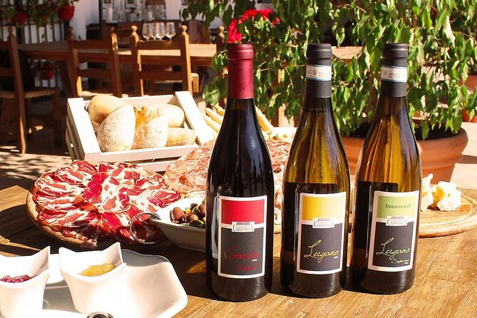 Wine Tasting and Tour of Lugana Wines in Sirmione - About the Group Size and How the Hour and a Half Feels