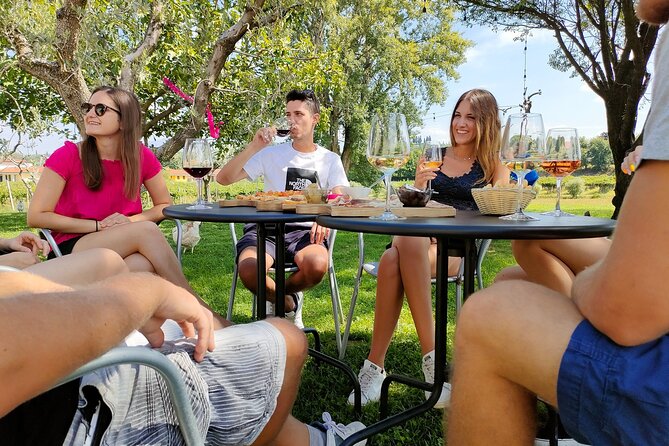 Wine Tasting with Local Food in Lazise Countryside - Key things that make this Lazise wine tasting work