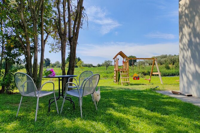 Wine Tasting with Local Food in Lazise Countryside - Why this Lazise farm tasting feels different than a typical Lake Garda stop