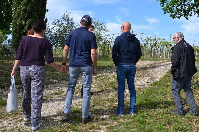 Winery Tour and Tasting of Garda Wines in Lazise - Lake Garda’s Wine Park: Why This Stop Feels Real