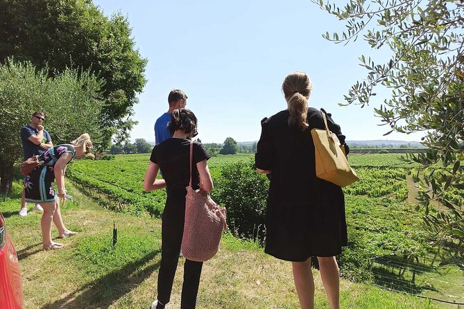 Winery Tour and Tasting of Garda Wines in Lazise - What You’ll Taste: Bardolino, Chiaretto, Custoza and the Garda Spectrum