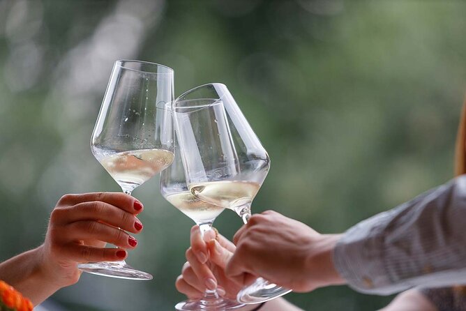 Winery Tour and Tasting of Garda Wines in Lazise - Price and Value: Is $50.79 a Fair Deal?
