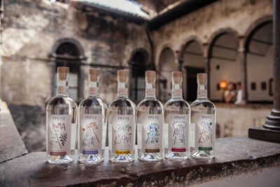 Winery tour with tasting of TrentoDoc and Grappa - A small, old-school production world in La Valle dei Laghi